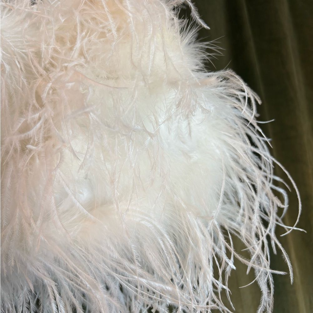 Banana Republic Real Ostrich Feather Tank - Picture 3 of 7